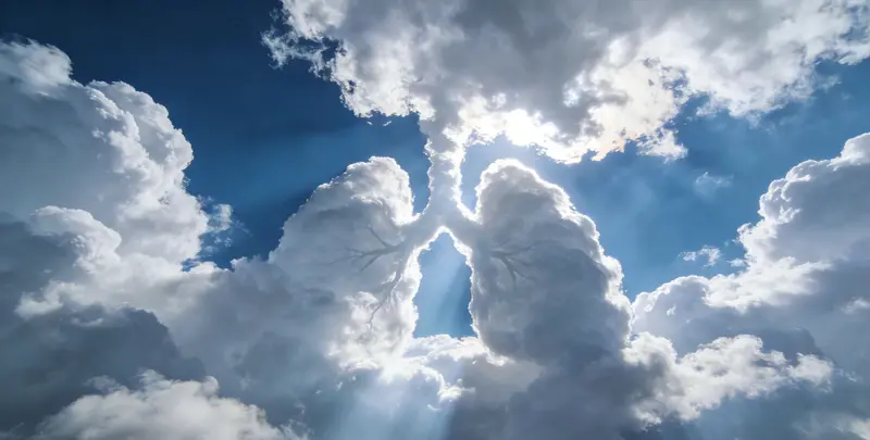 呼伦贝尔肺癌靶向120基因检测（组织）图片1