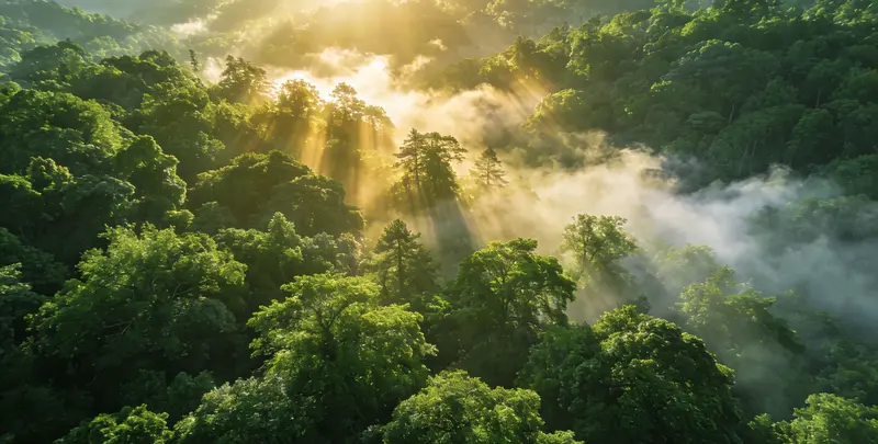 呼伦贝尔肺癌12基因ctDNA突变检测(血液）图片1